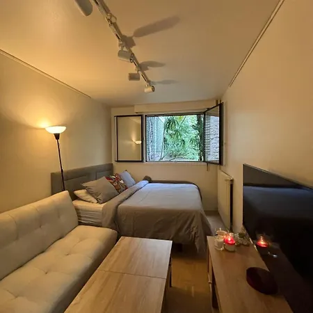 Amazing Near Arc De Triomphe And Eiffel Tower *